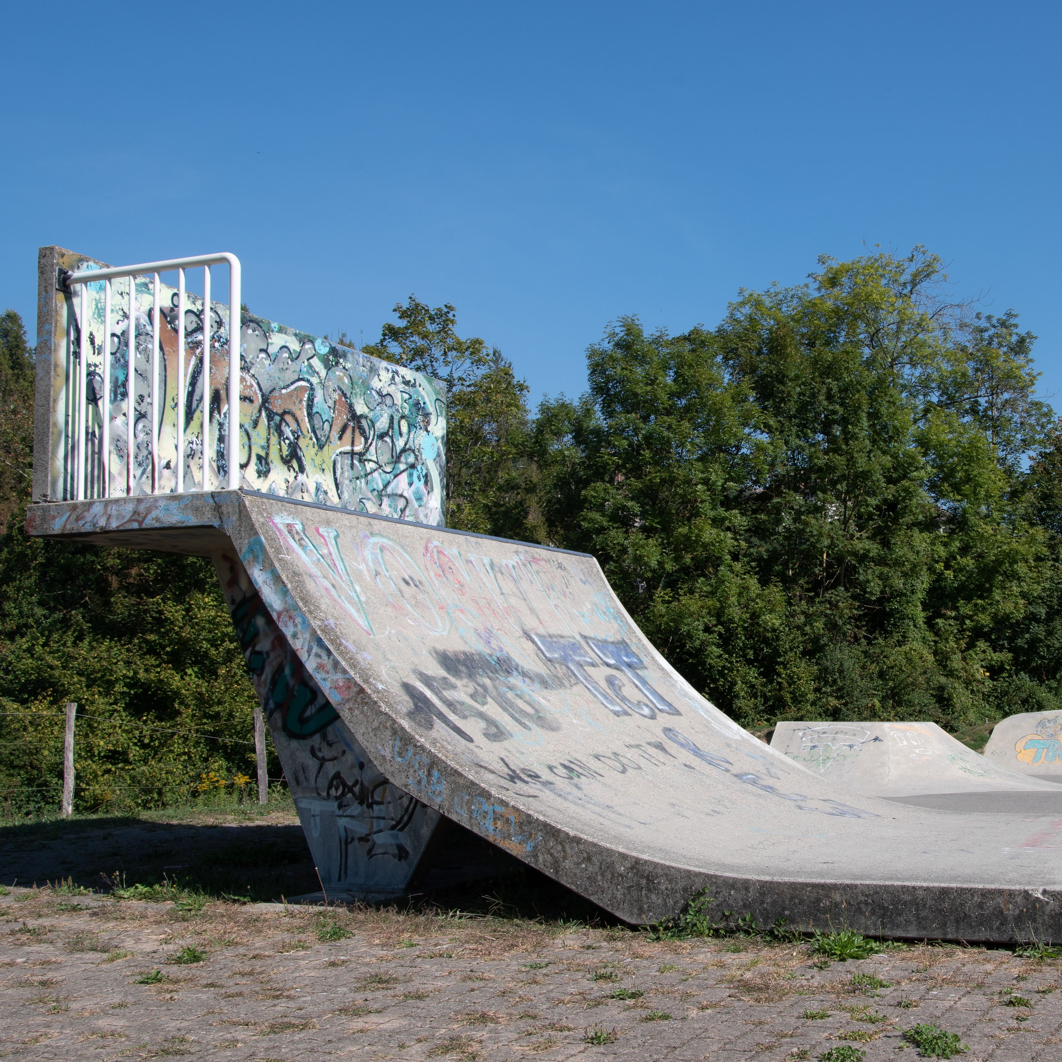 The Skatepark